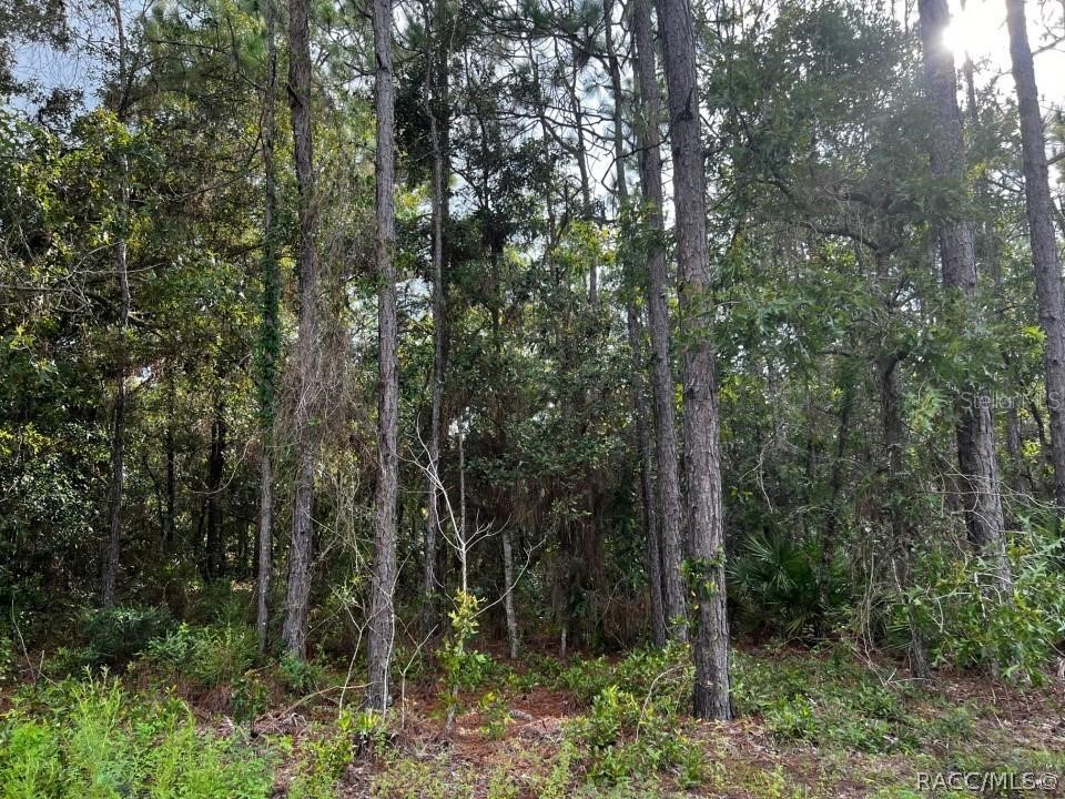 5720 N Oakmont Drive Beverly Hills FL 34465 J965024 image1