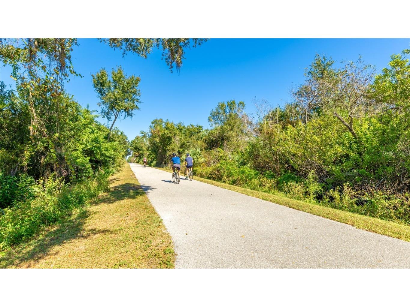 5720 Semolino Street Nokomis FL 34275 A4671570 image82