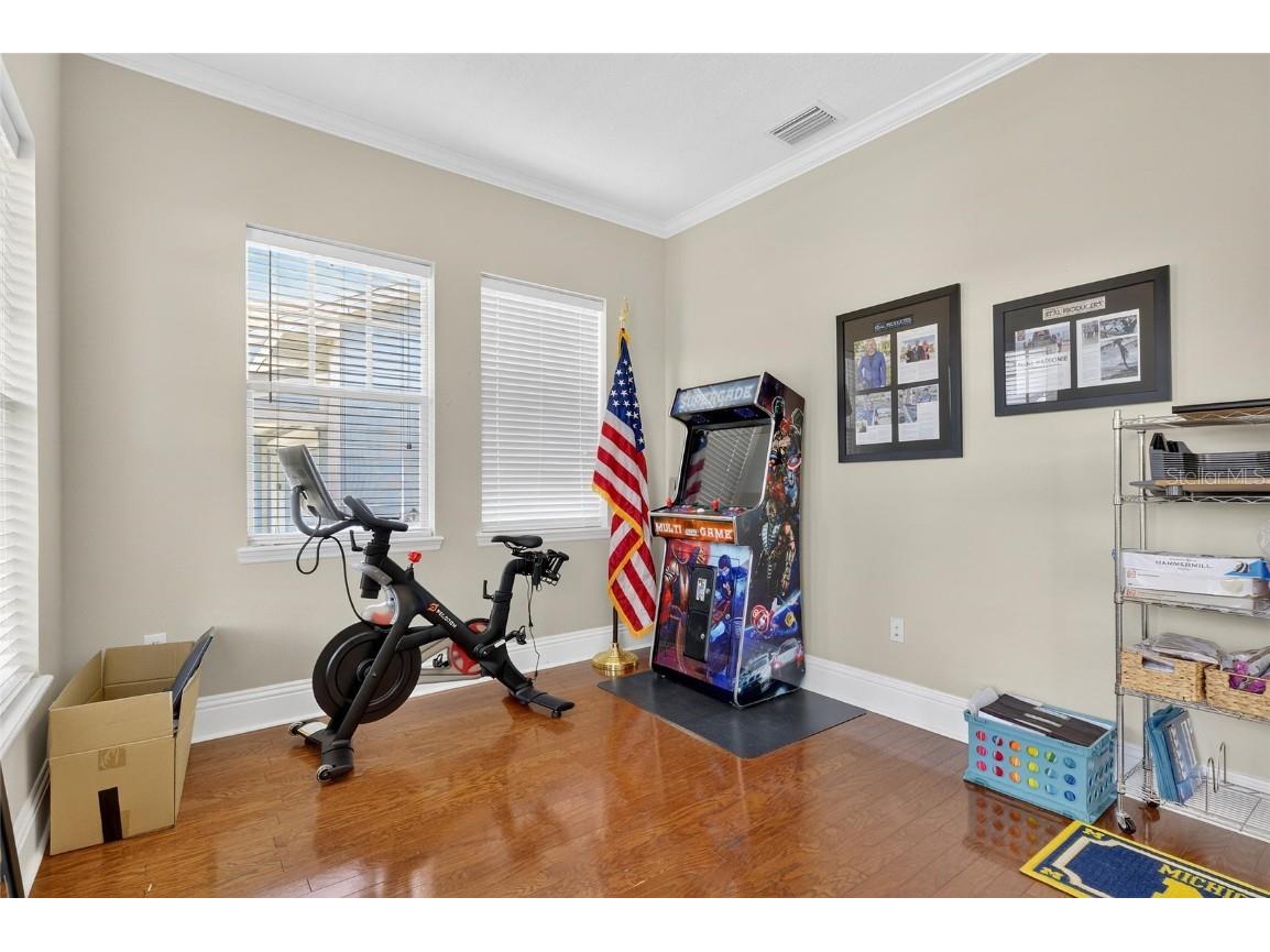 5720 Tortoise Place Apollo Beach FL 33572 TB8405876 image26