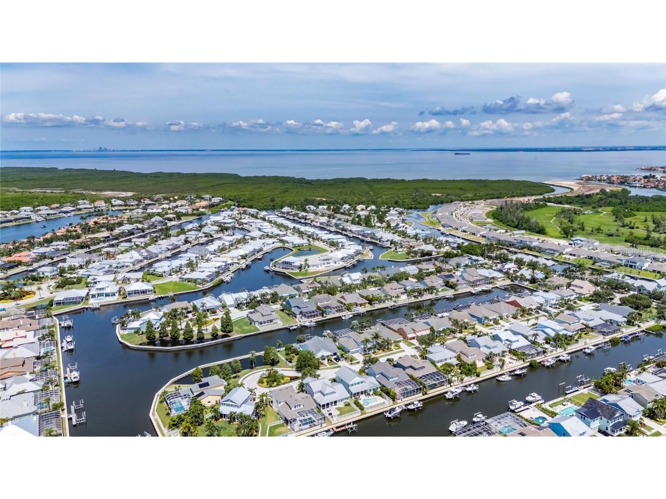 5720 Tortoise Place Apollo Beach FL 33572 TB8405876 image65