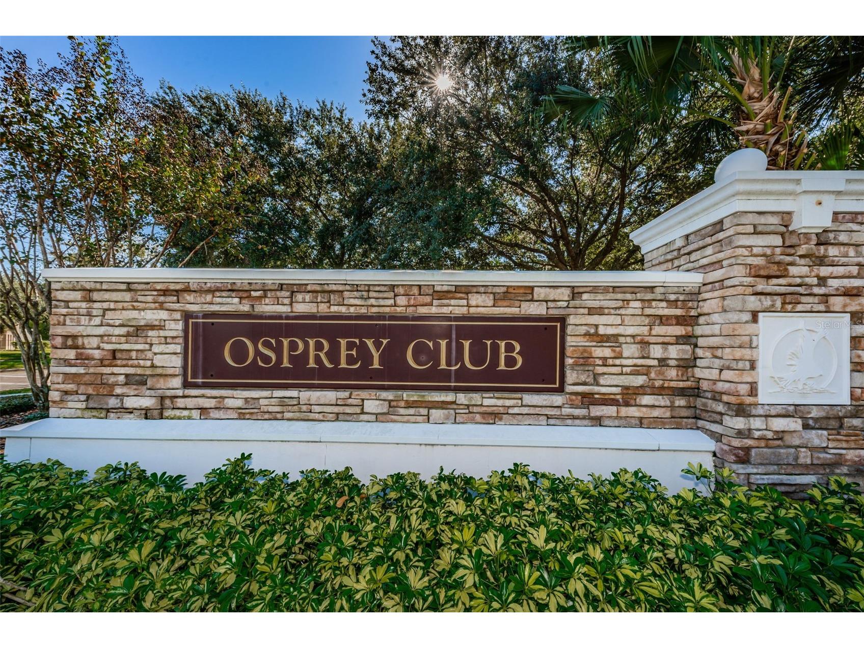 5721 Heronpark Place Lithia FL 33547 TB8492930 image66