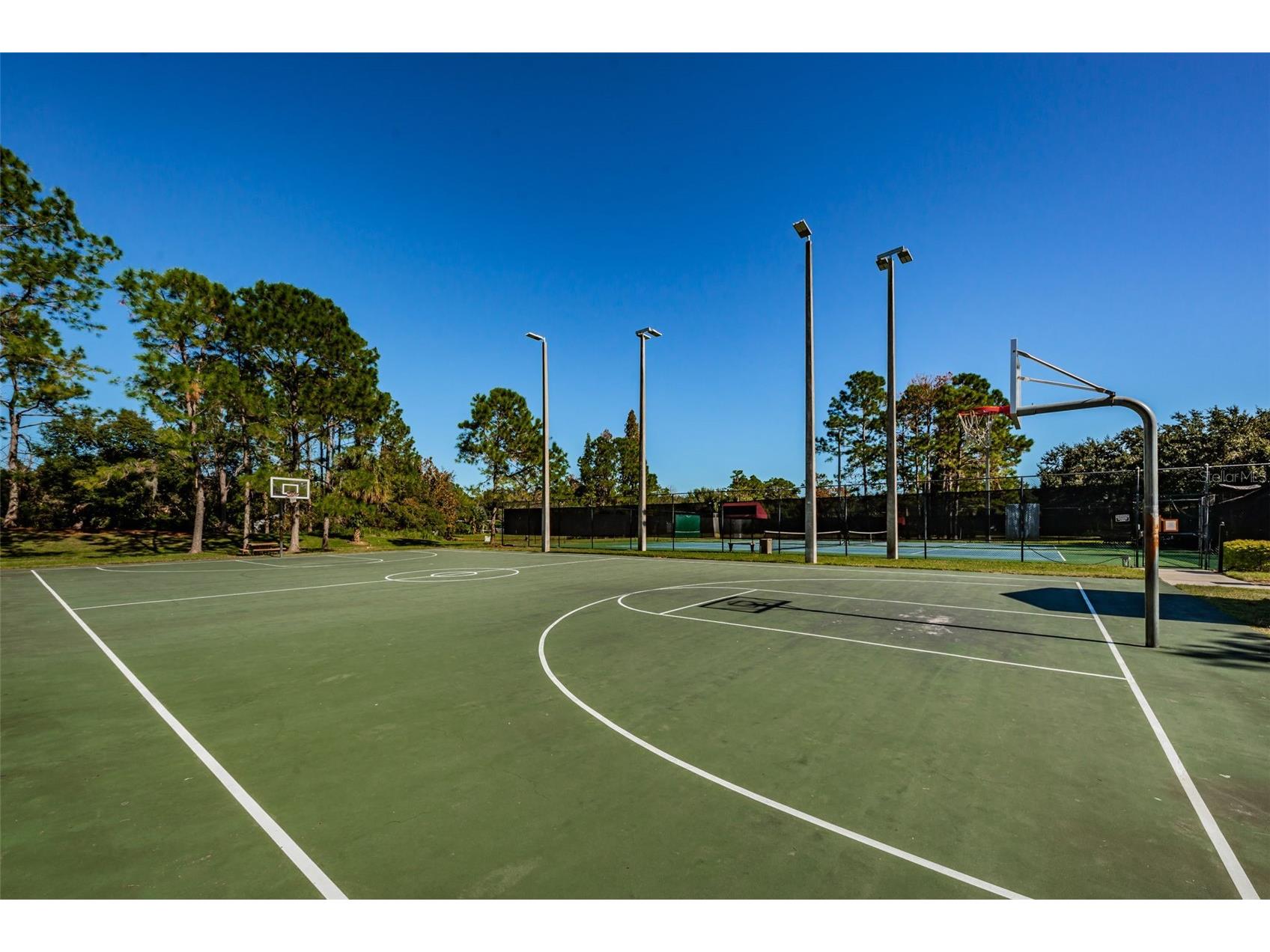 5721 Heronpark Place Lithia FL 33547 TB8492930 image70