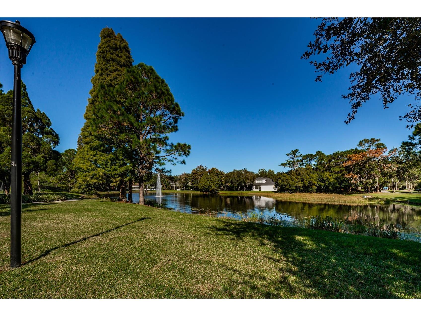 5721 Heronpark Place Lithia FL 33547 TB8492930 image77