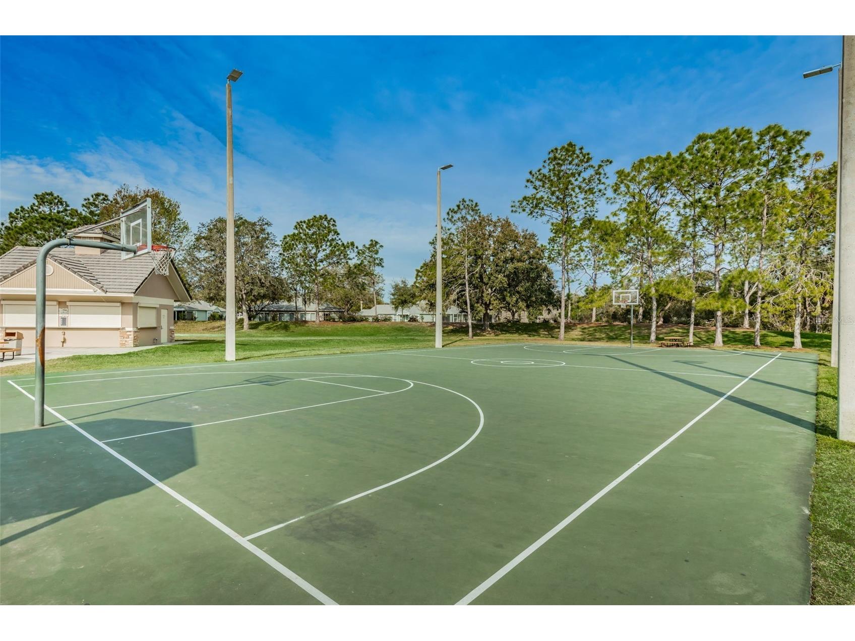 5721 Heronpark Place Lithia FL 33547 TB8492930 image83