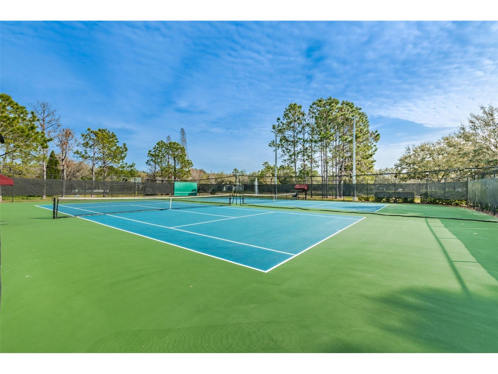 5721 Heronpark Place Lithia FL 33547 TB8492930 image86