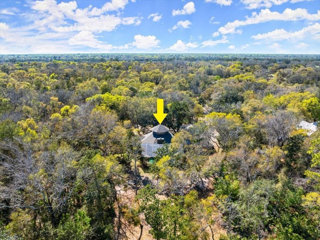 5721 John Anderson Highway Flagler Beach FL 32136 V4942801 image4