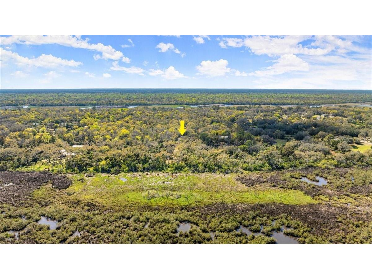 5721 John Anderson Highway Flagler Beach FL 32136 V4942801 image45