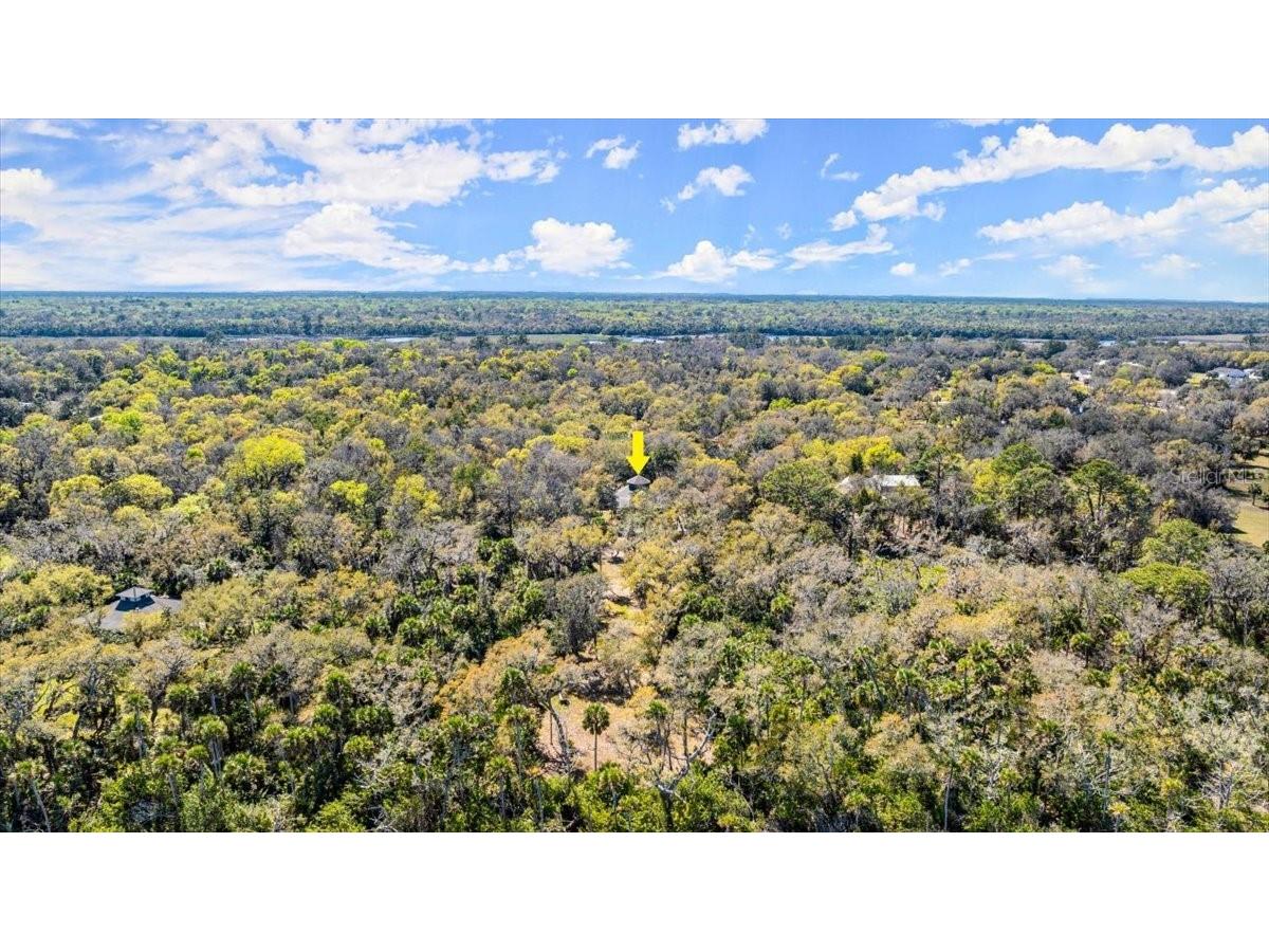 5721 John Anderson Highway Flagler Beach FL 32136 V4942801 image46