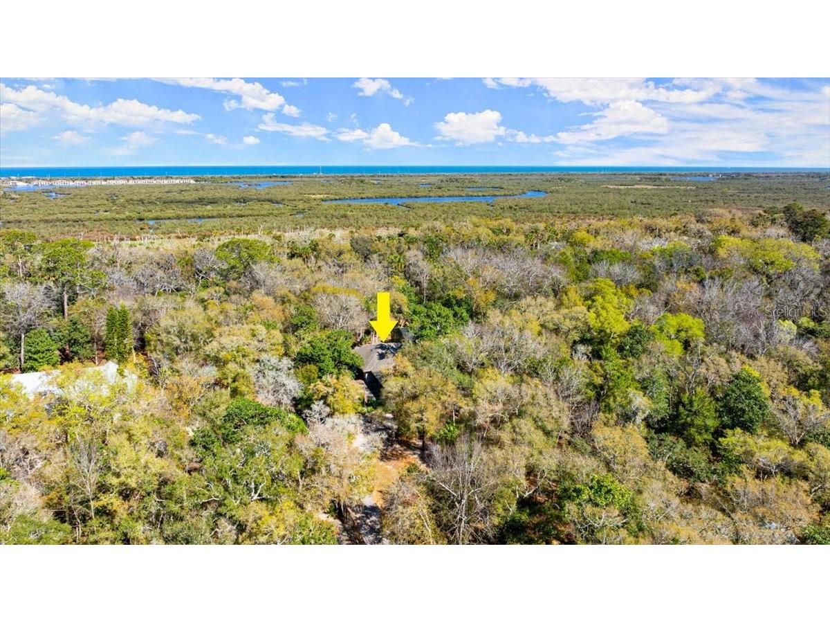 5721 John Anderson Highway Flagler Beach FL 32136 V4942801 image47