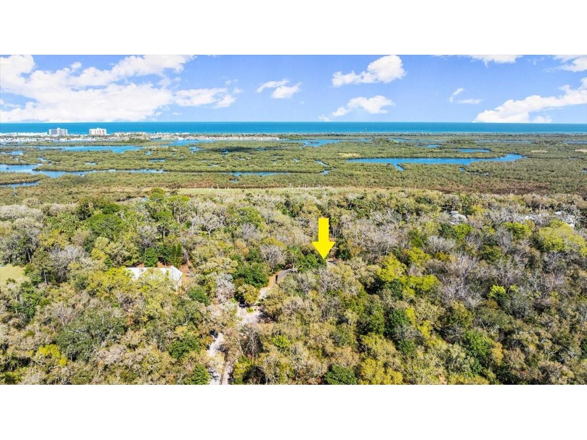 5721 John Anderson Highway Flagler Beach FL 32136 V4942801 image48