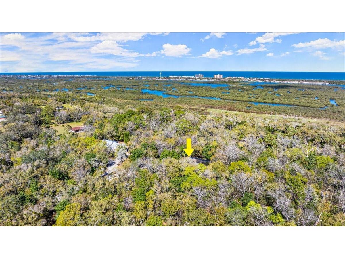 5721 John Anderson Highway Flagler Beach FL 32136 V4942801 image49