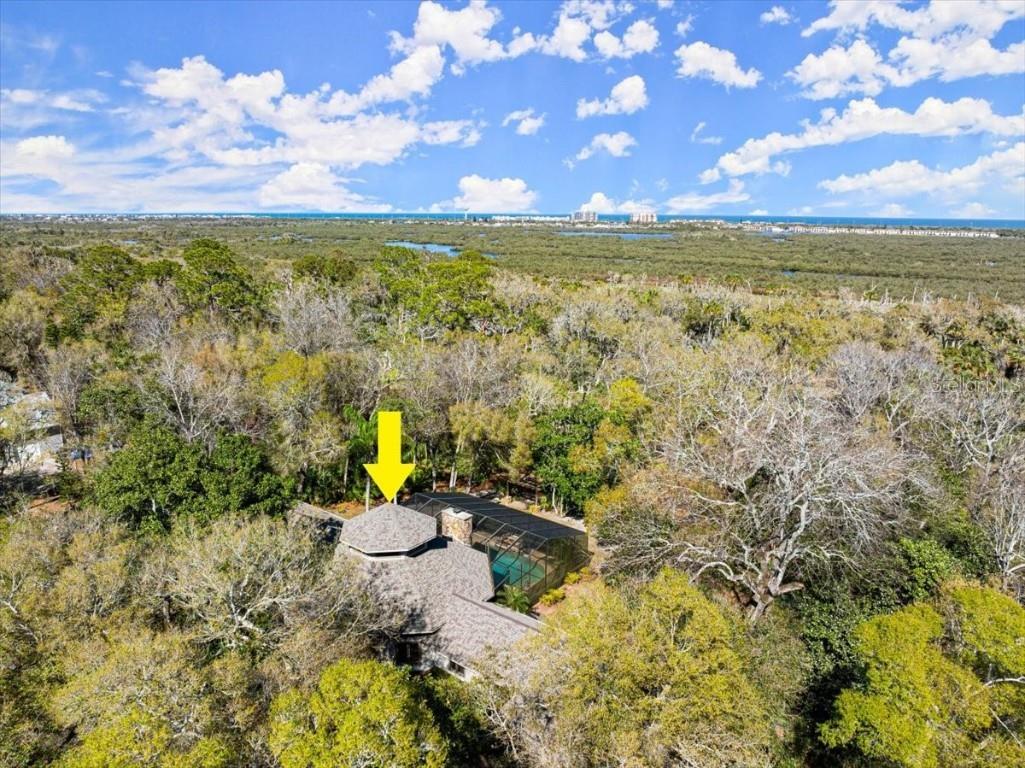 5721 John Anderson Highway Flagler Beach FL 32136 V4942801 image50