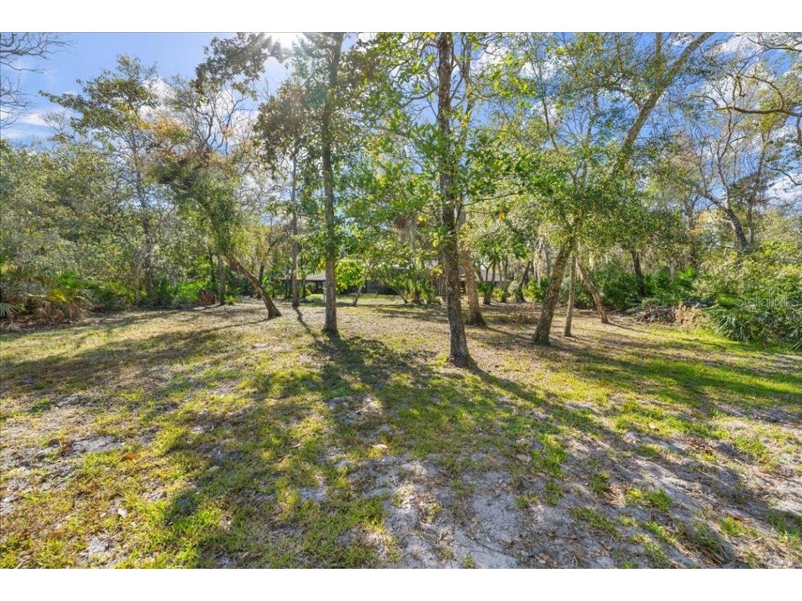 5721 John Anderson Highway Flagler Beach FL 32136 V4942801 image55