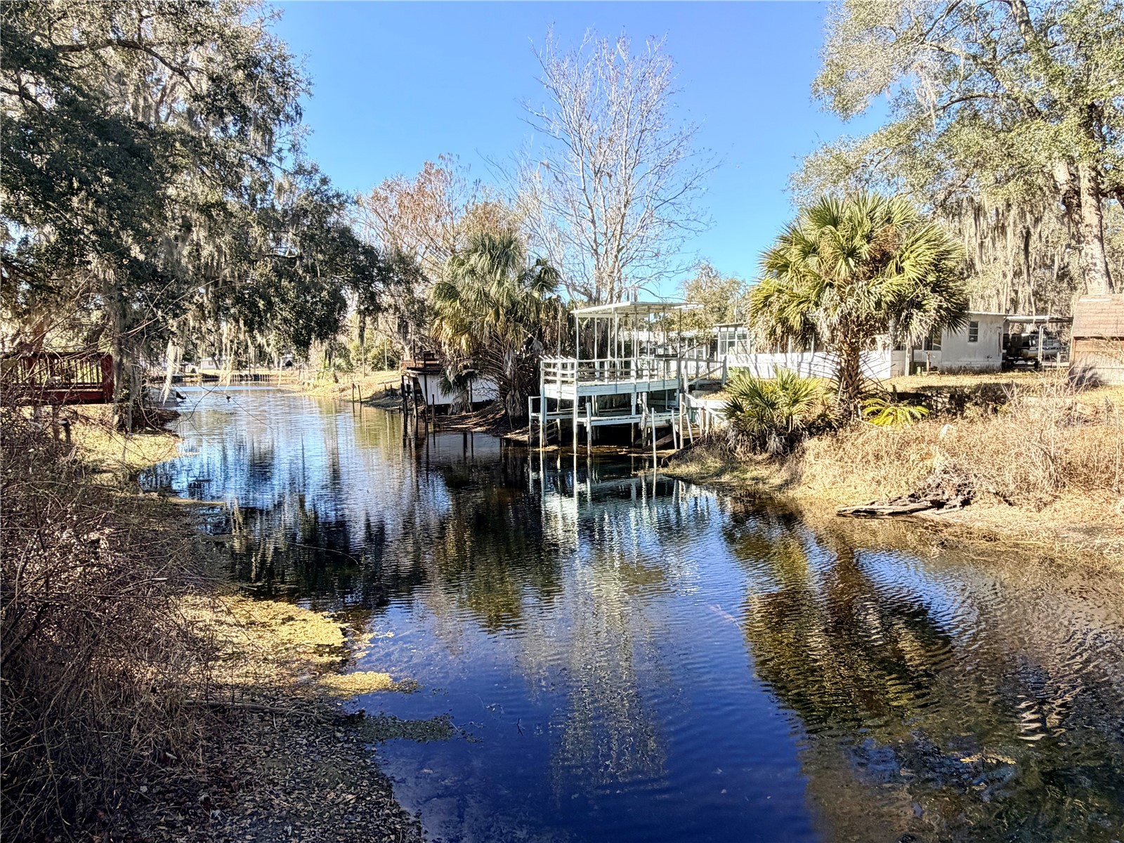 5721 S Live Oak Drive Floral City FL 34436 OM718013 image5