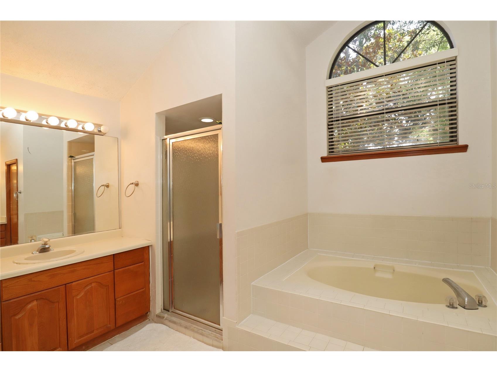 5722 Bay Side Drive Orlando FL 32819 O6415135 image7