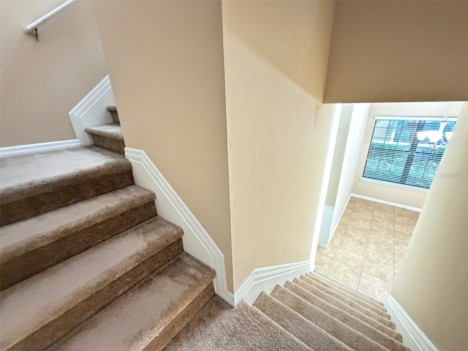 5722 Kinglethill Drive Lithia FL 33547 TB8529452 image12