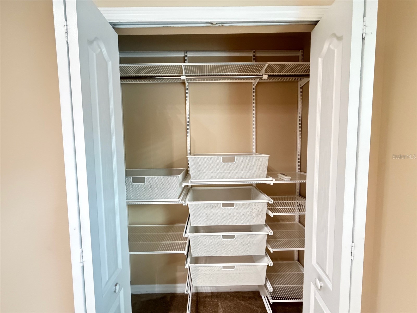 5722 Kinglethill Drive Lithia FL 33547 TB8529452 image17