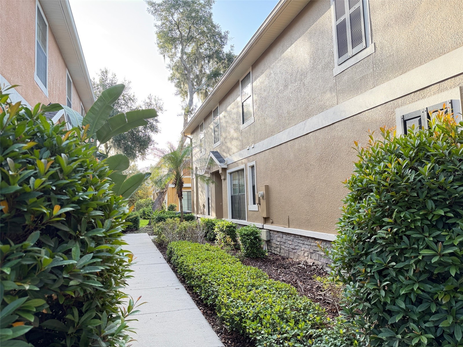 5722 Kinglethill Drive Lithia FL 33547 TB8529452 image23