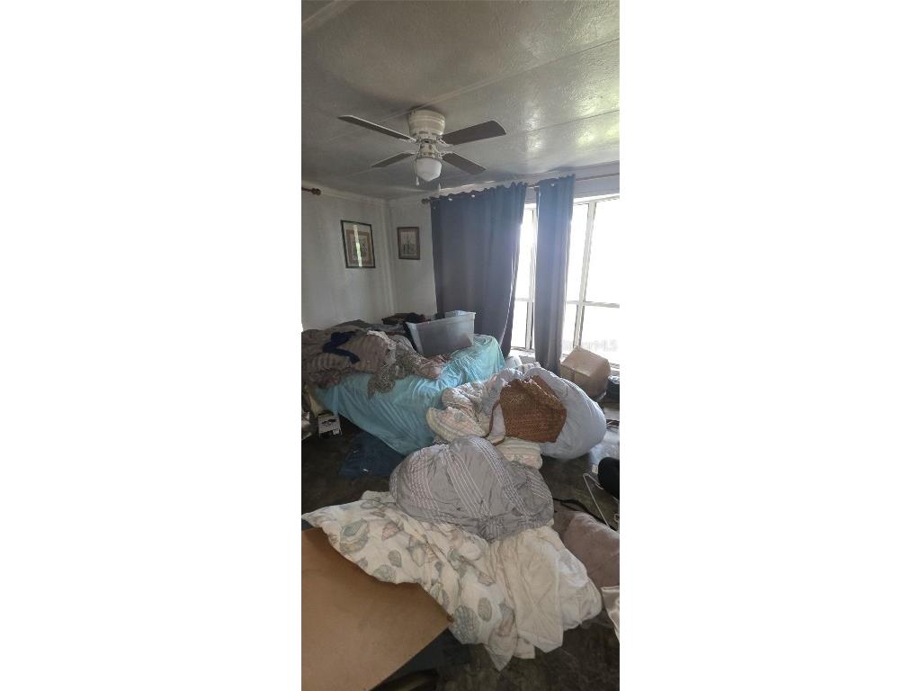 5722 Pawnne Street Zephyrhills FL 33542 TB8448615 image22