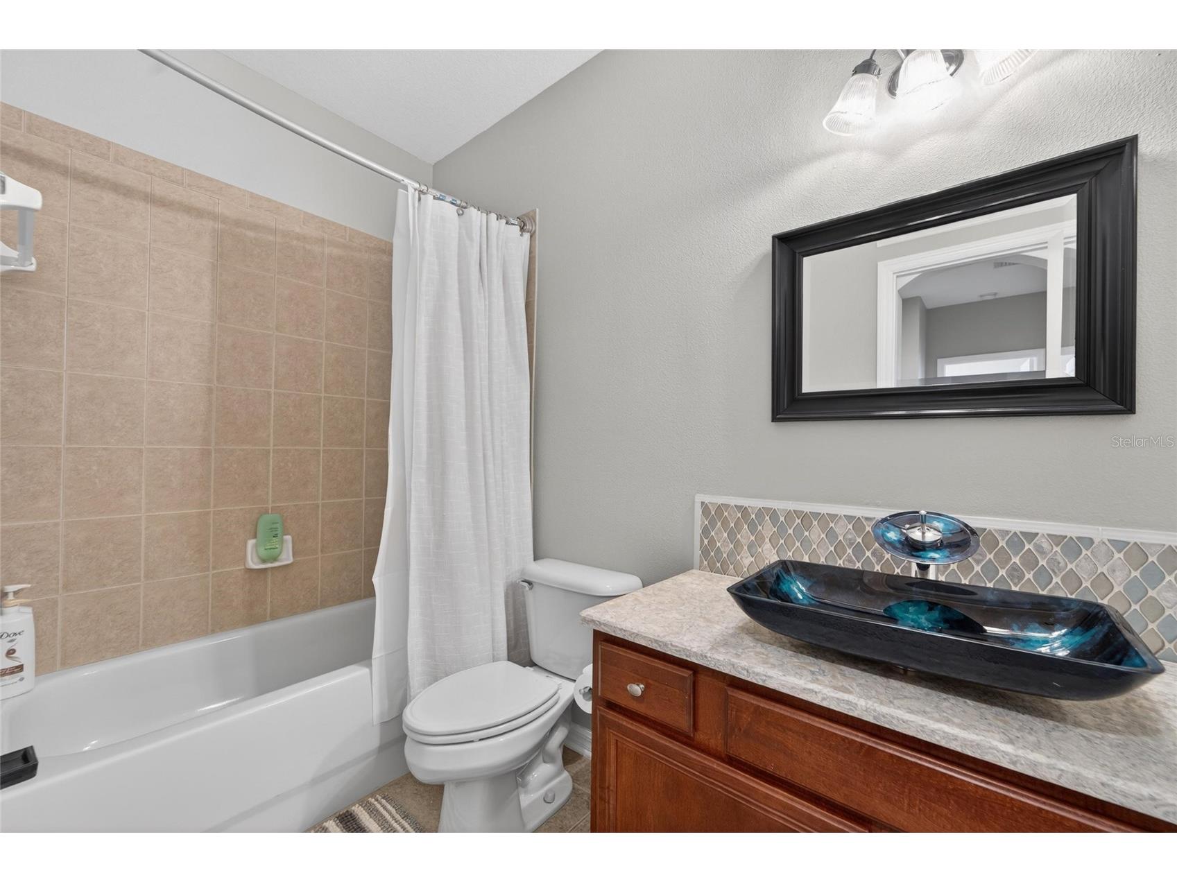 5722 Sea Trout Place Apollo Beach FL 33572 TB8512941 image63