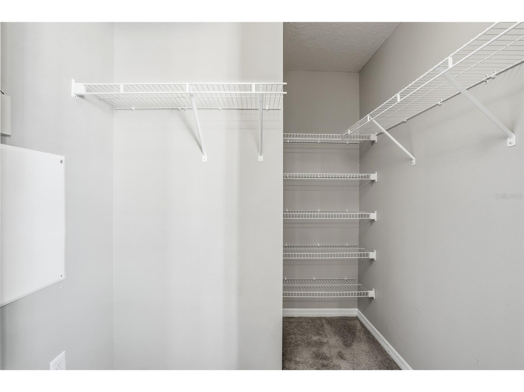 5723 Kingsletsound Place Lithia FL 33547 TB8452059 image26