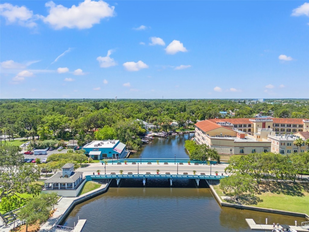 5724 Casson Avenue New Port Richey FL 34652 W7876574 image11