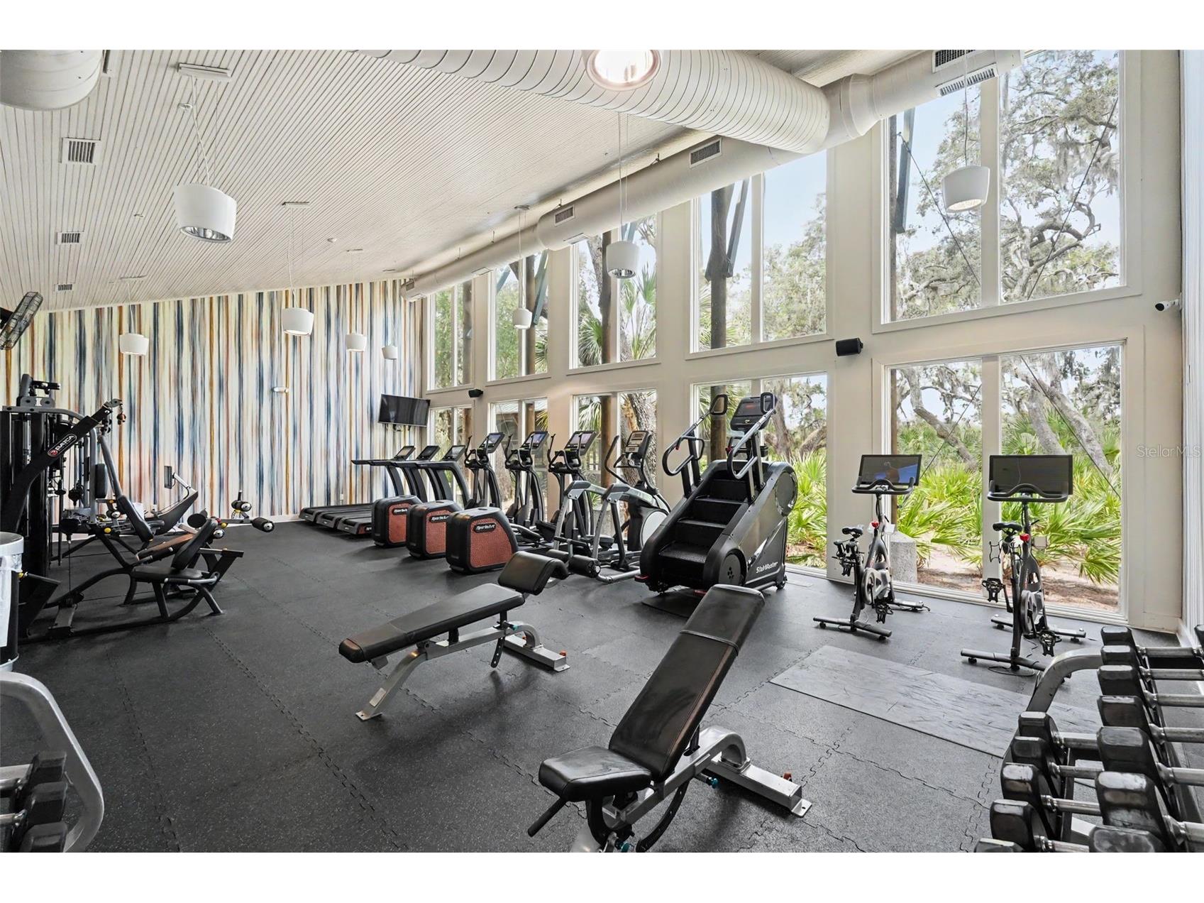 5724 Circa Fishhawk Boulevard Lithia FL 33547 TB8525501 image54