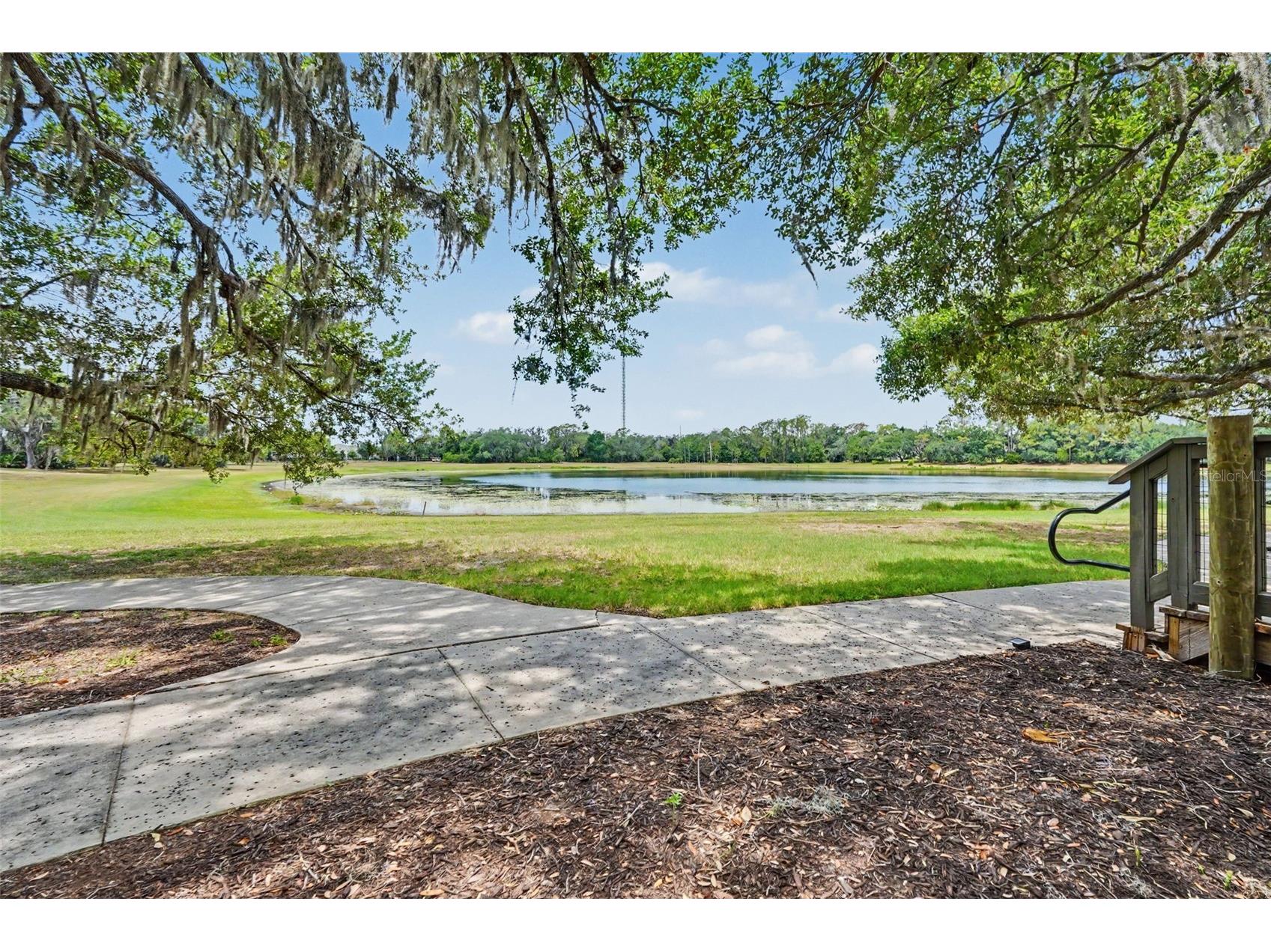 5724 Circa Fishhawk Boulevard Lithia FL 33547 TB8525501 image63