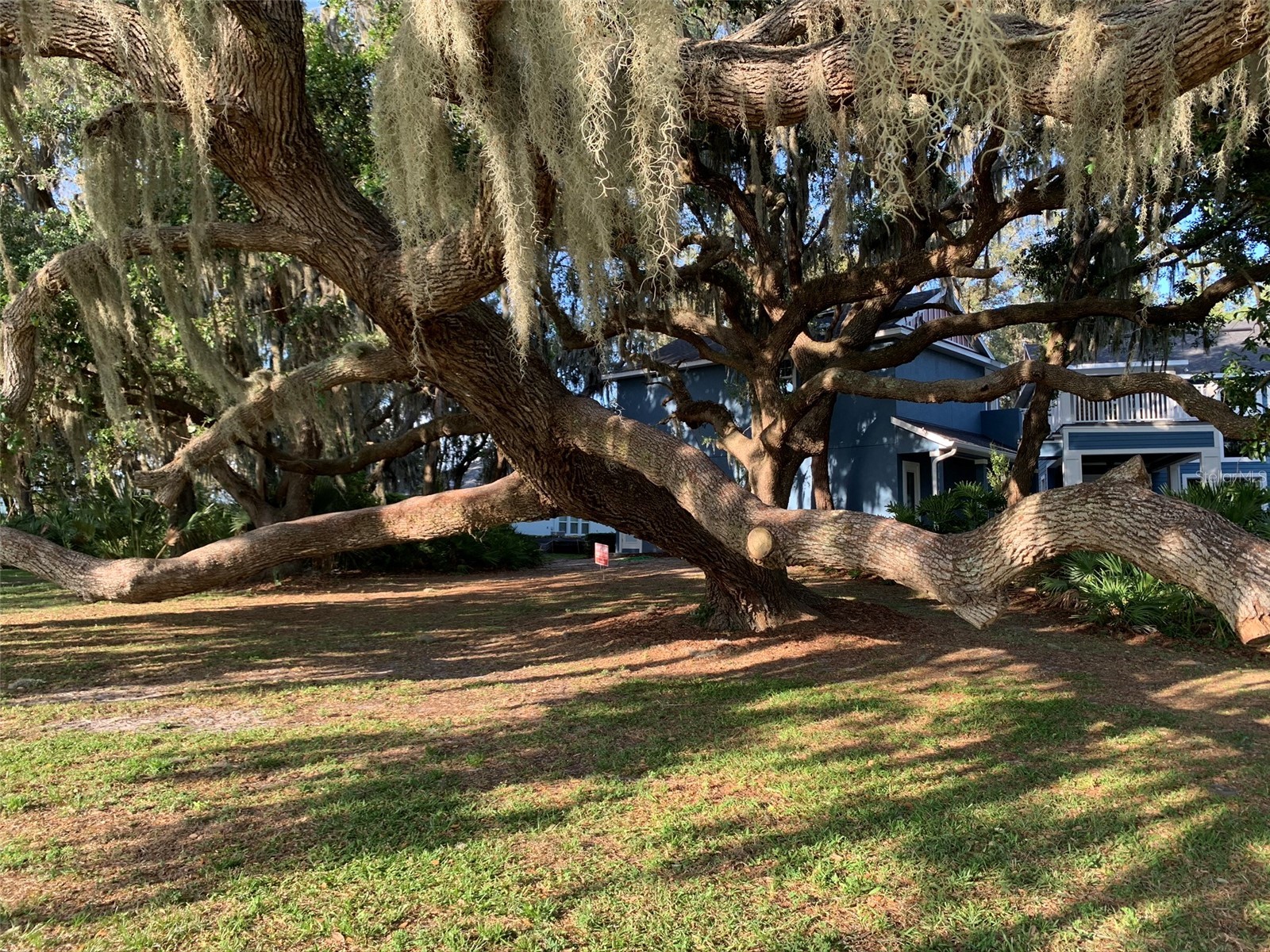5724 Circa Fishhawk Boulevard Lithia FL 33547 TB8525501 image67