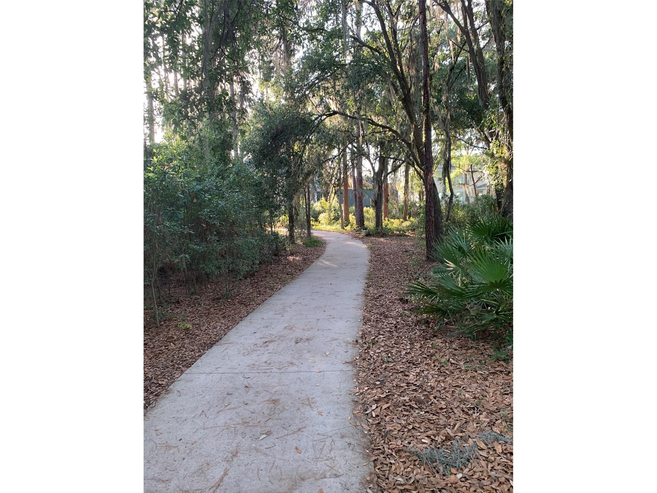 5724 Circa Fishhawk Boulevard Lithia FL 33547 TB8525501 image70