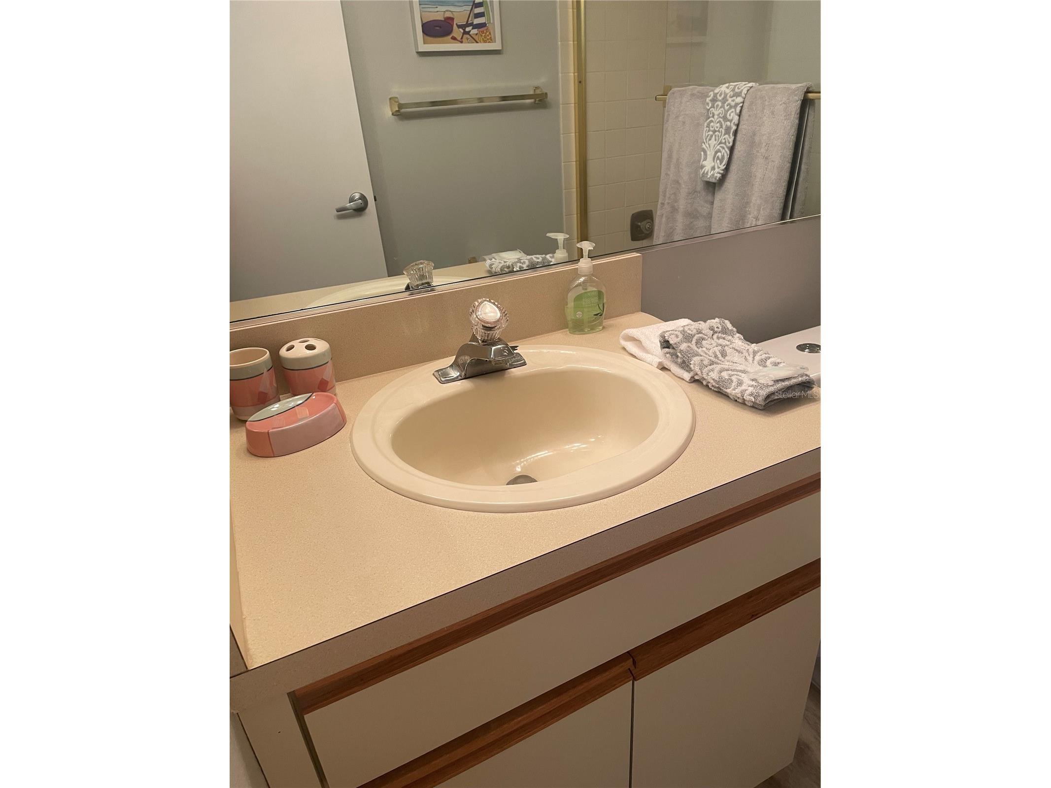 5724 La Puerta Del Sol Boulevard #248 Saint Petersburg FL 33715 TB8510752 image11