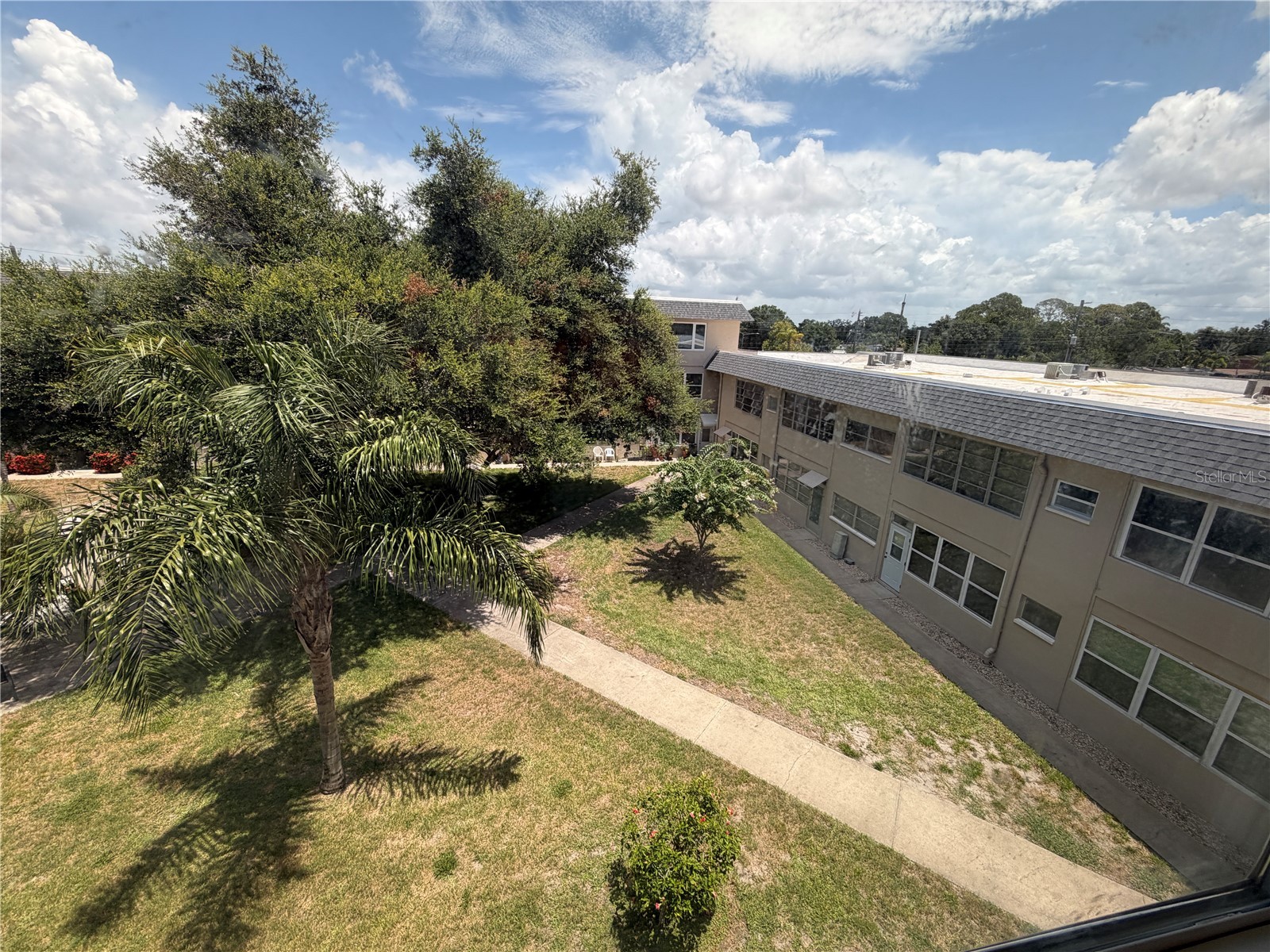 5725 12th Avenue N #306D Saint Petersburg FL 33710 TB8526042 image3