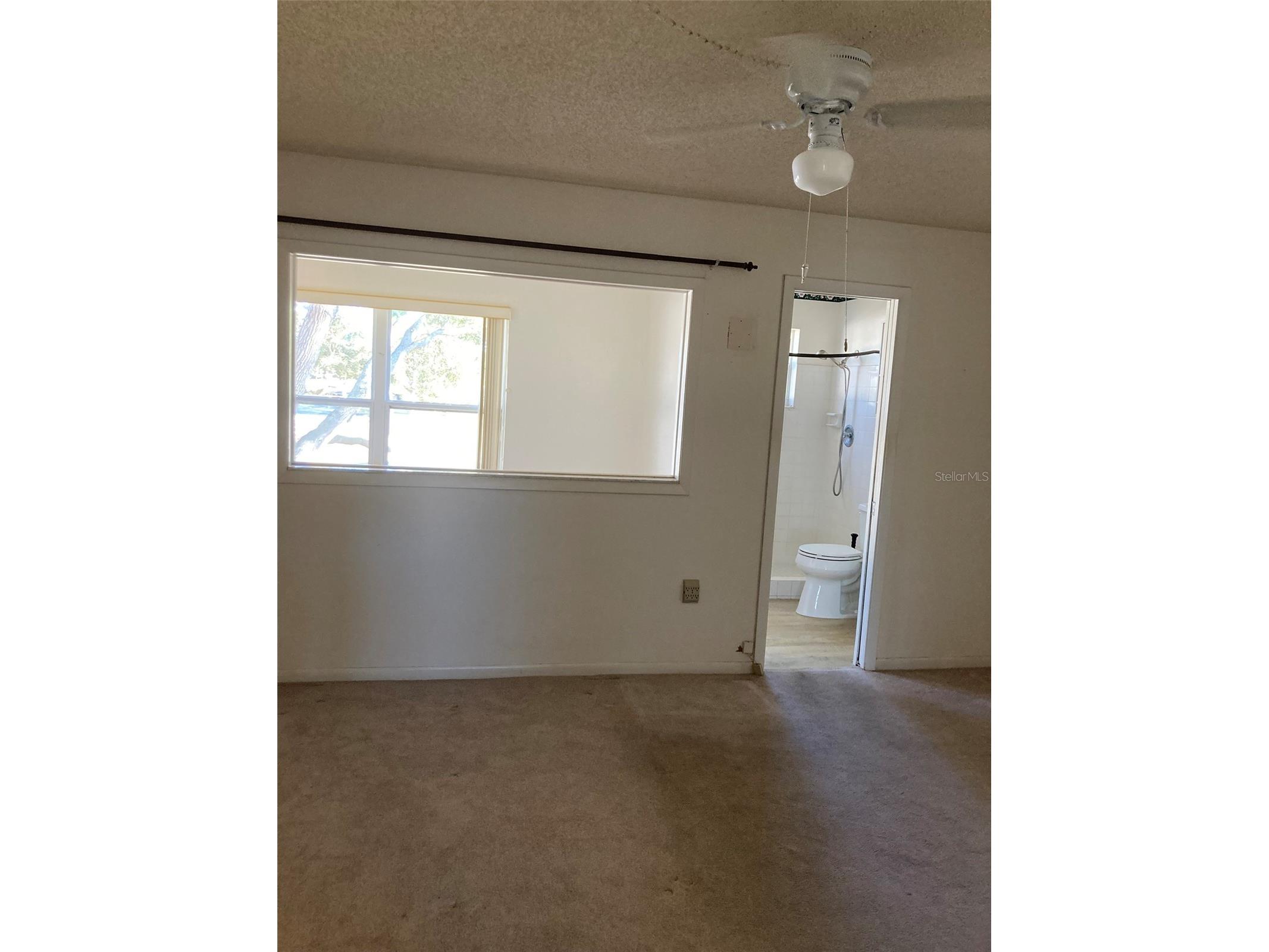5725 80th Street N #315 Saint Petersburg FL 33709 TB8469687 image30