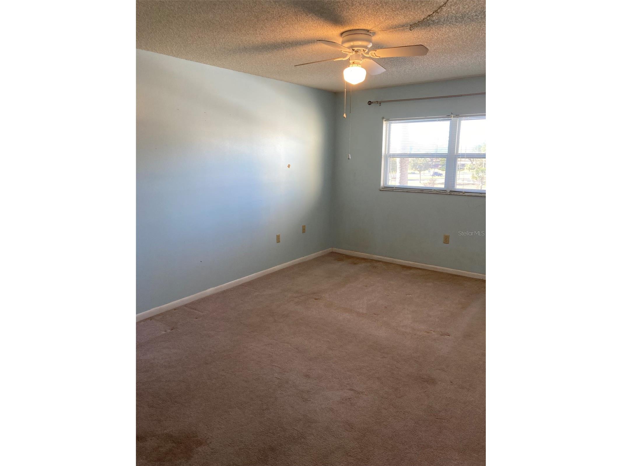 5725 80th Street N #315 Saint Petersburg FL 33709 TB8469687 image34