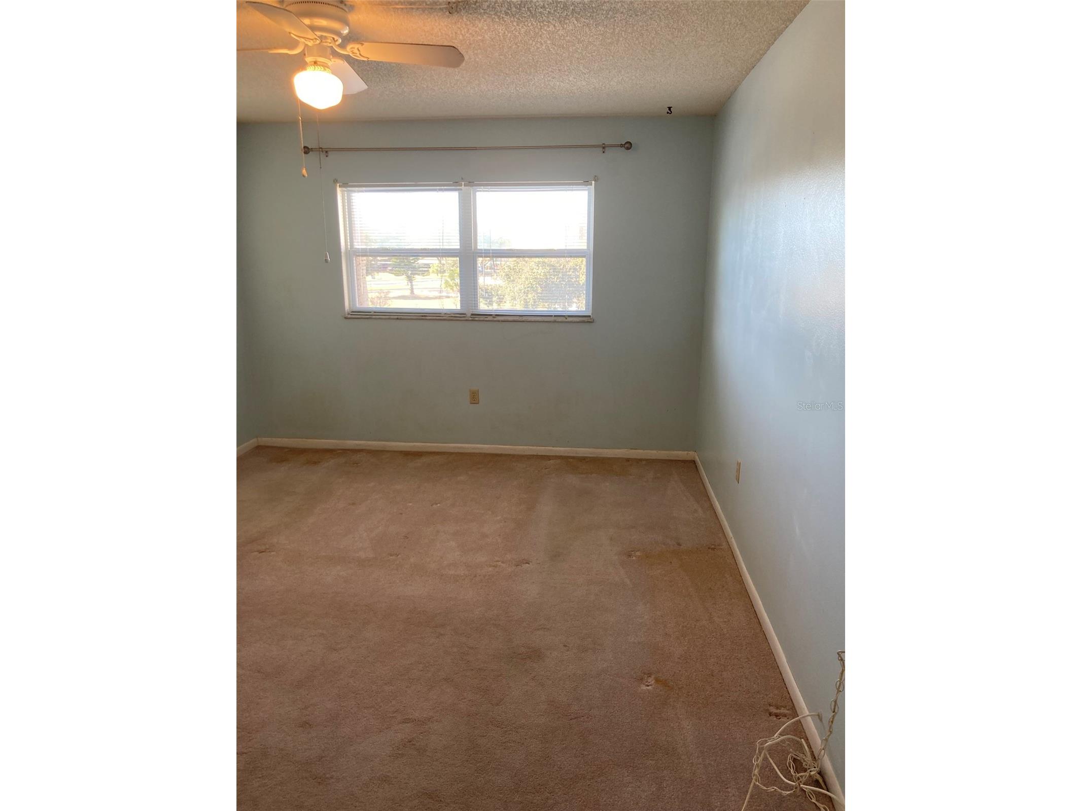 5725 80th Street N #315 Saint Petersburg FL 33709 TB8469687 image35