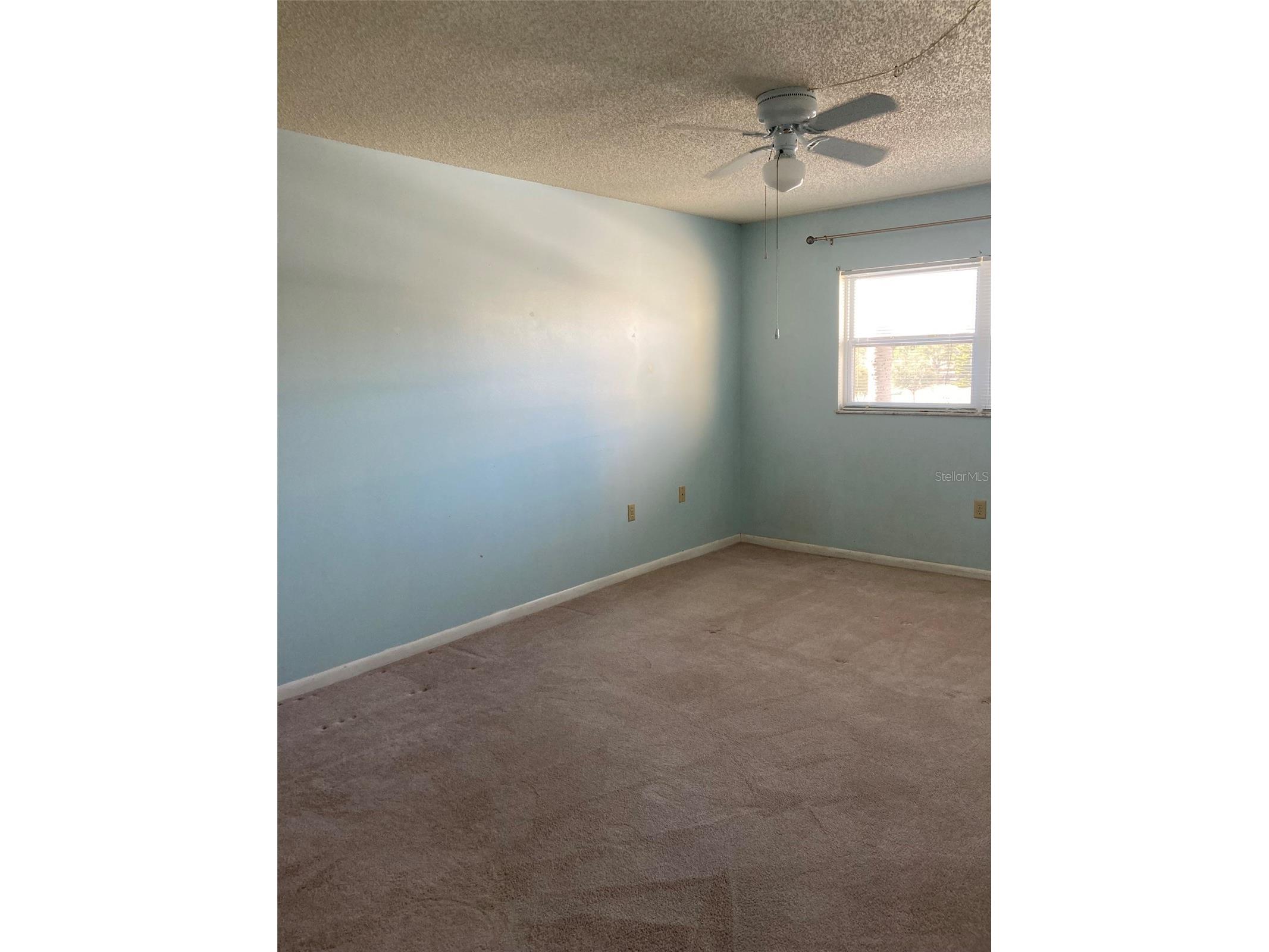 5725 80th Street N #315 Saint Petersburg FL 33709 TB8469687 image41