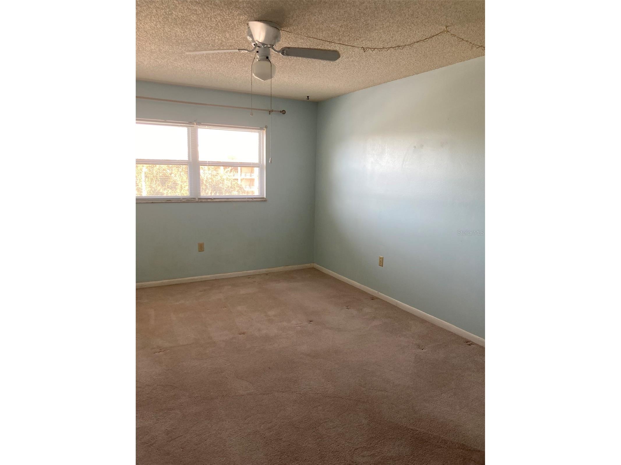 5725 80th Street N #315 Saint Petersburg FL 33709 TB8469687 image42