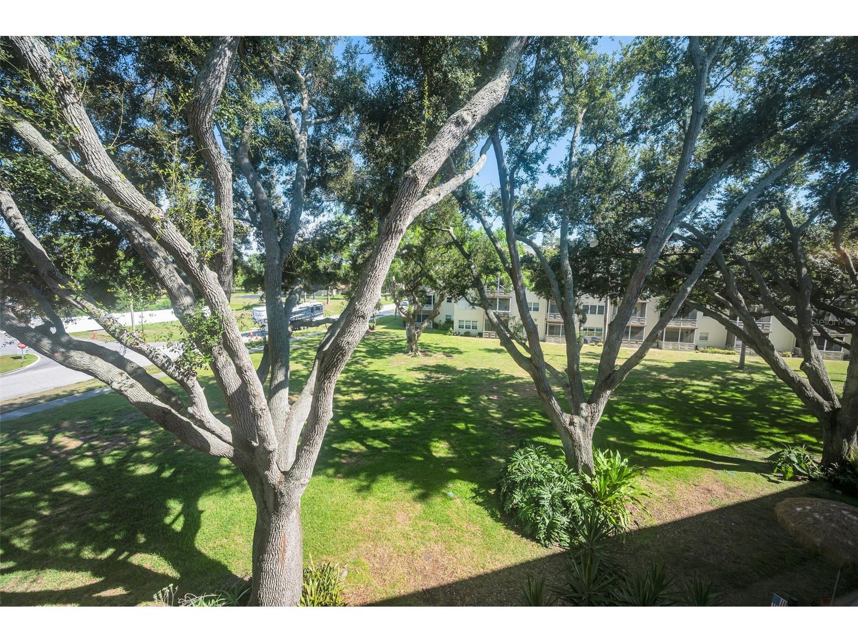 5725 80th Street N #315 Saint Petersburg FL 33709 TB8522228 image16