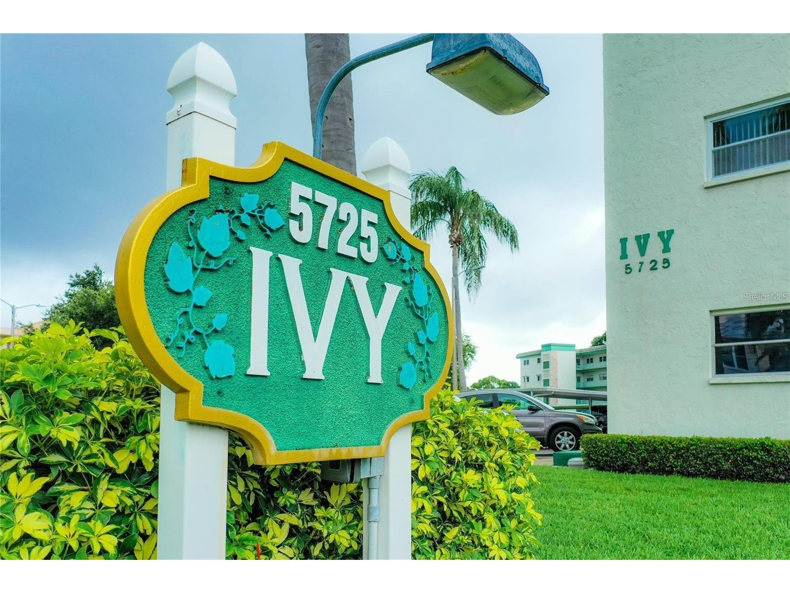 5725 80th Street N #404 Saint Petersburg FL 33709 TB8467690 image33