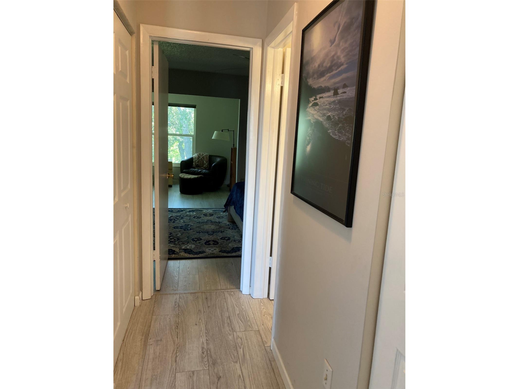 5725 80th Street N #404 Saint Petersburg FL 33709 TB8508765 image31
