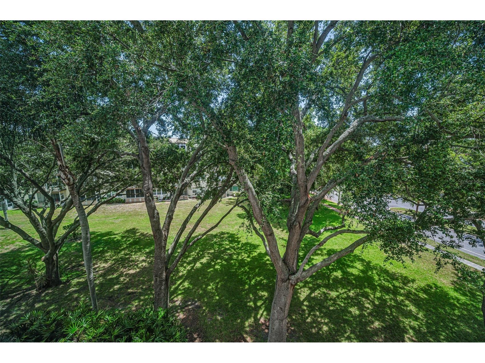5725 80th Street N #404 Saint Petersburg FL 33709 TB8523675 image18