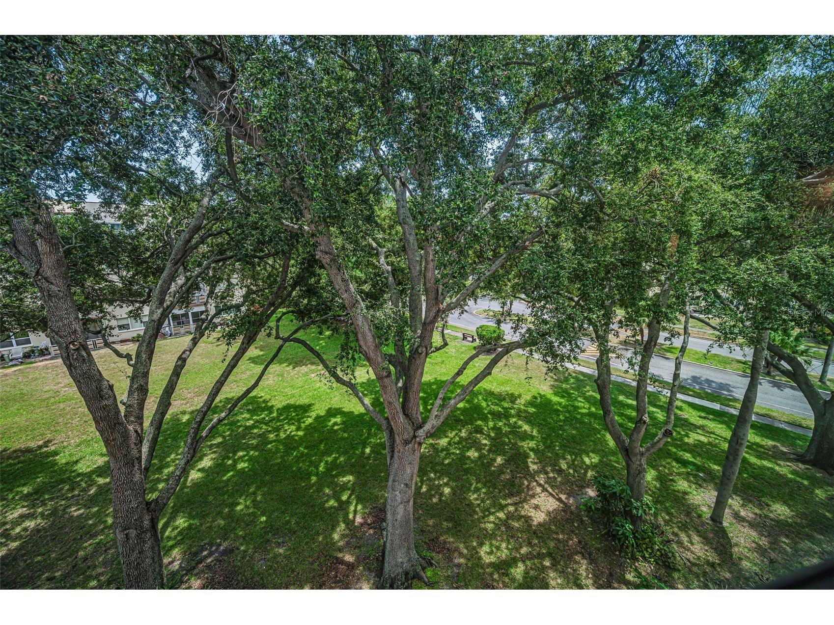 5725 80th Street N #404 Saint Petersburg FL 33709 TB8523675 image29