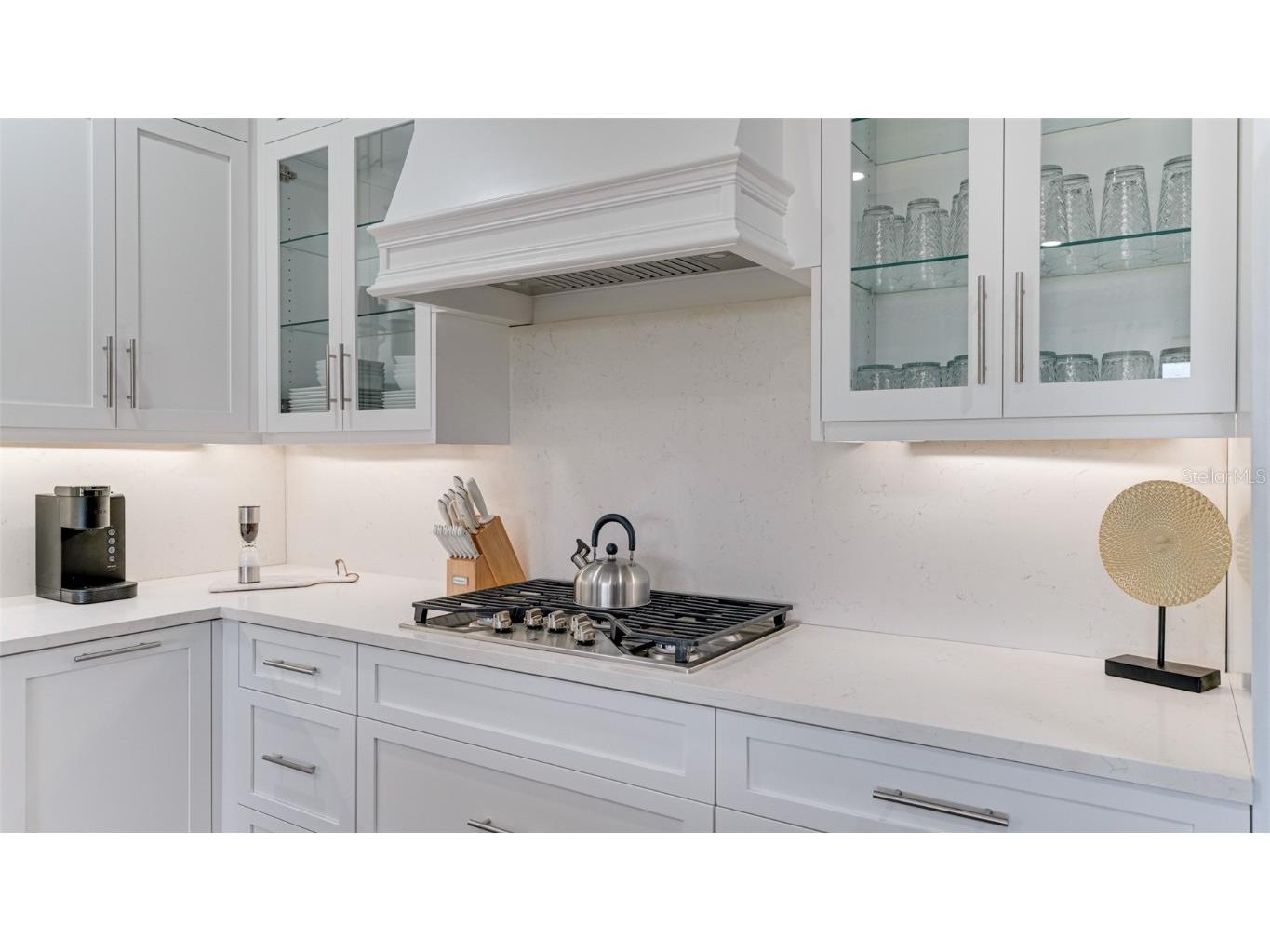 5725 Cheech Glen Lakewood Ranch FL 34211 A4553727 image5