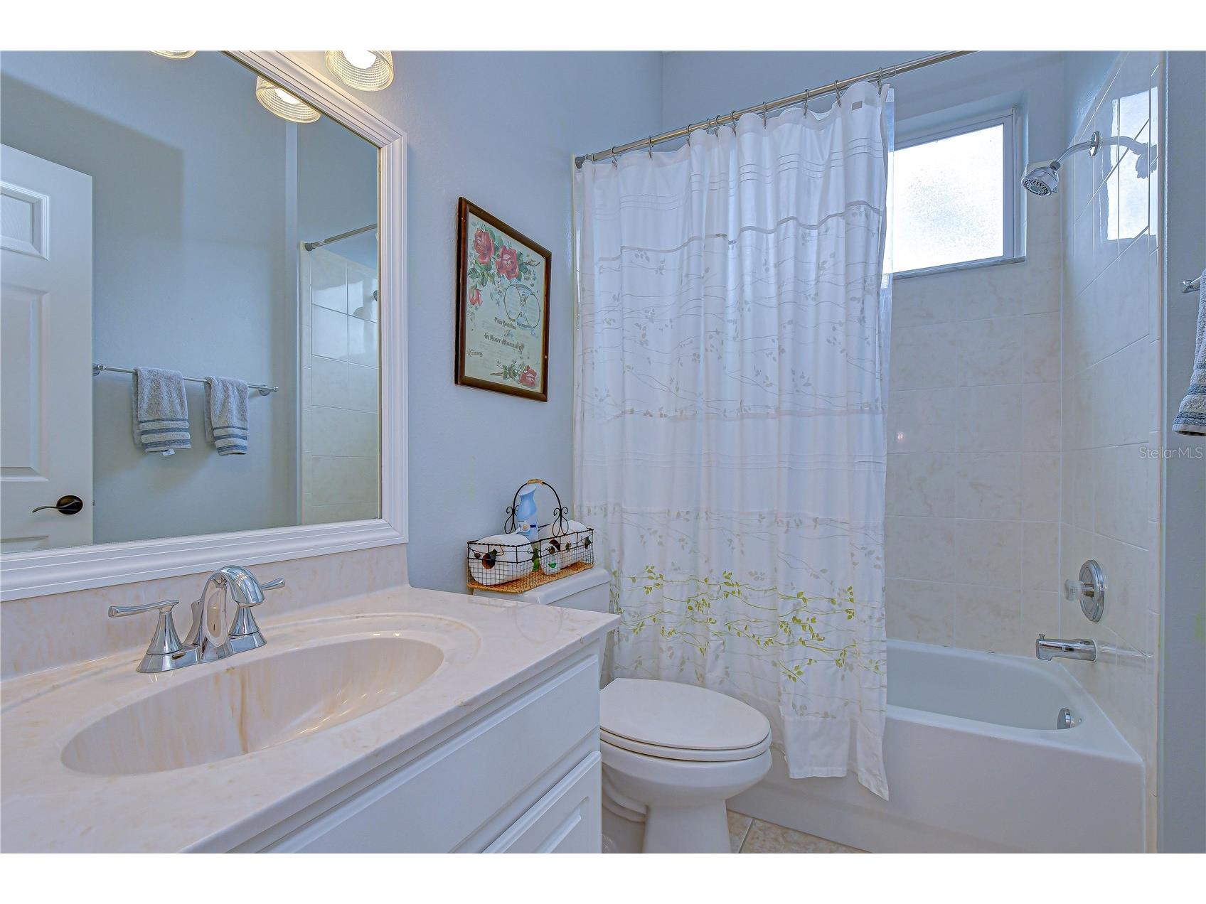5725 Eaglemount Circle Lithia FL 33547 TB8493668 image21