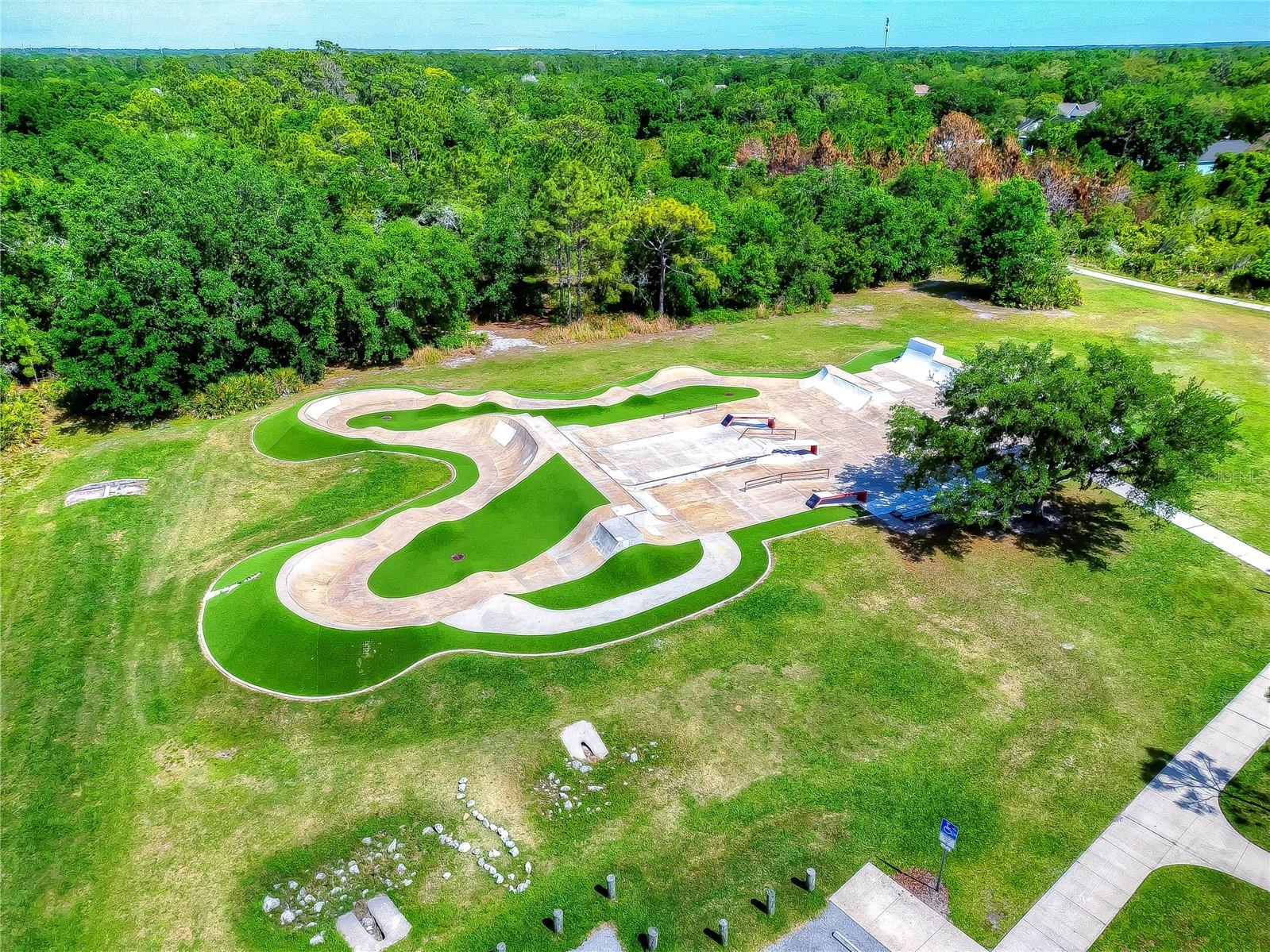 5725 Eaglemount Circle Lithia FL 33547 TB8493668 image40