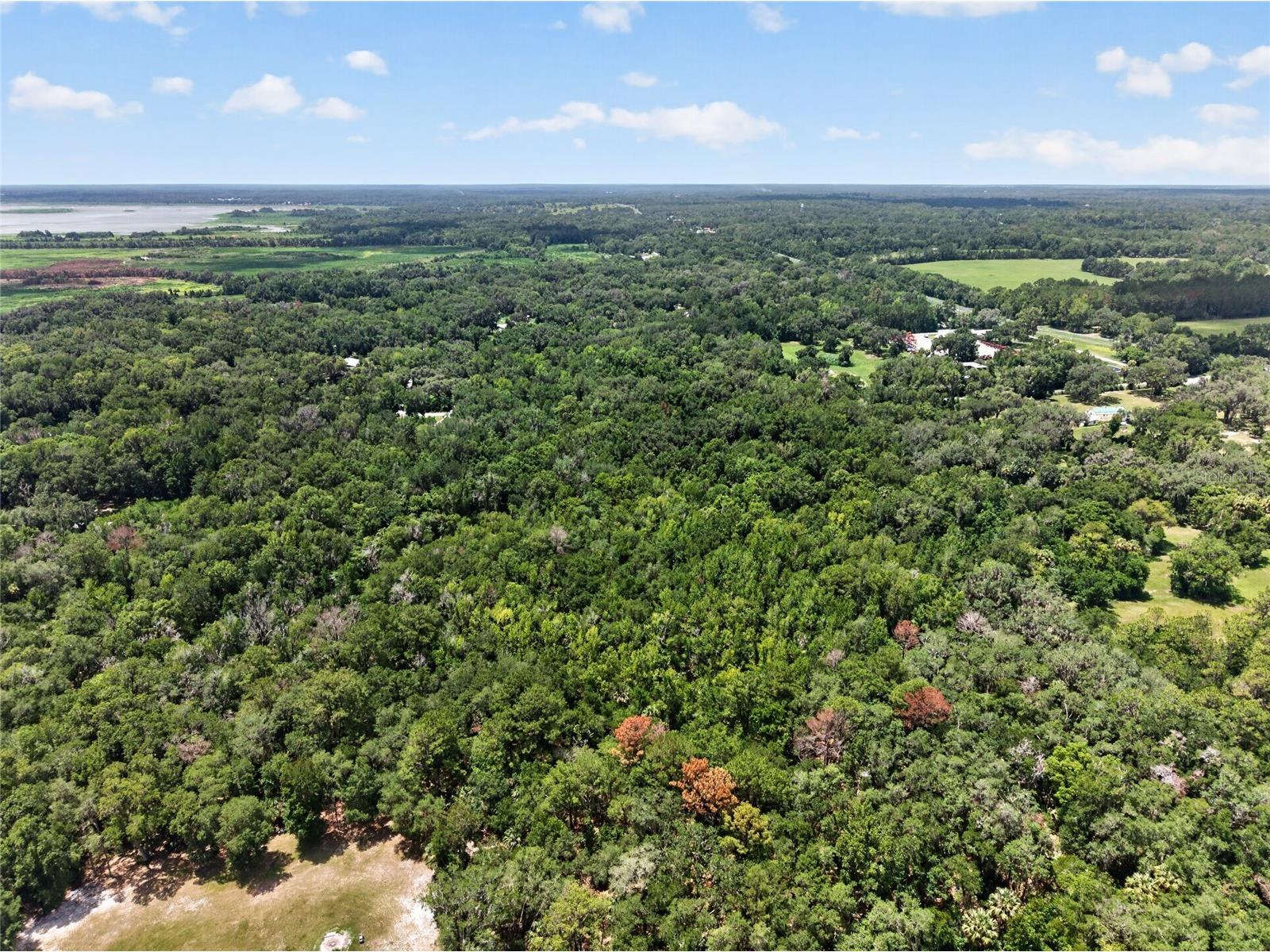 5725 NW 219th Street Road Micanopy FL 32667 GC541790 image11