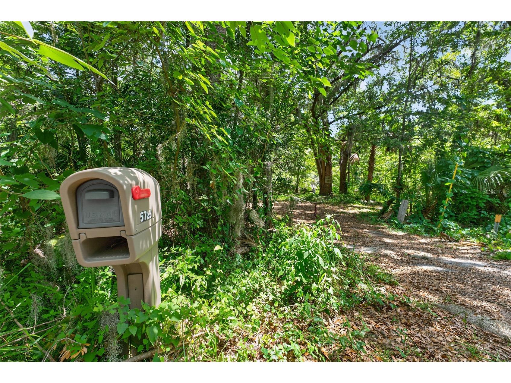 5725 NW 219th Street Road Micanopy FL 32667 GC541790 image16