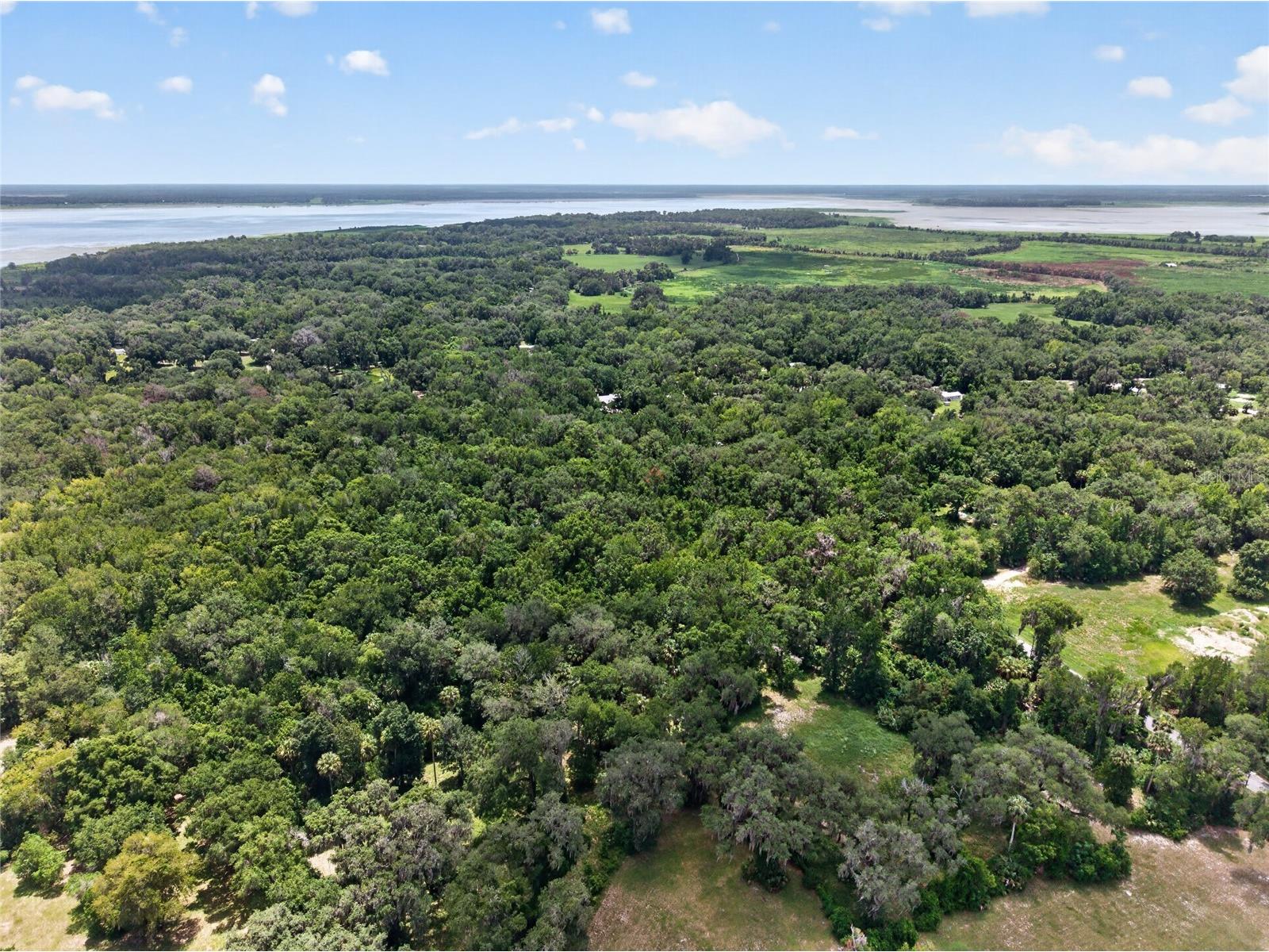 5725 NW 219th Street Road Micanopy FL 32667 GC541790 image17