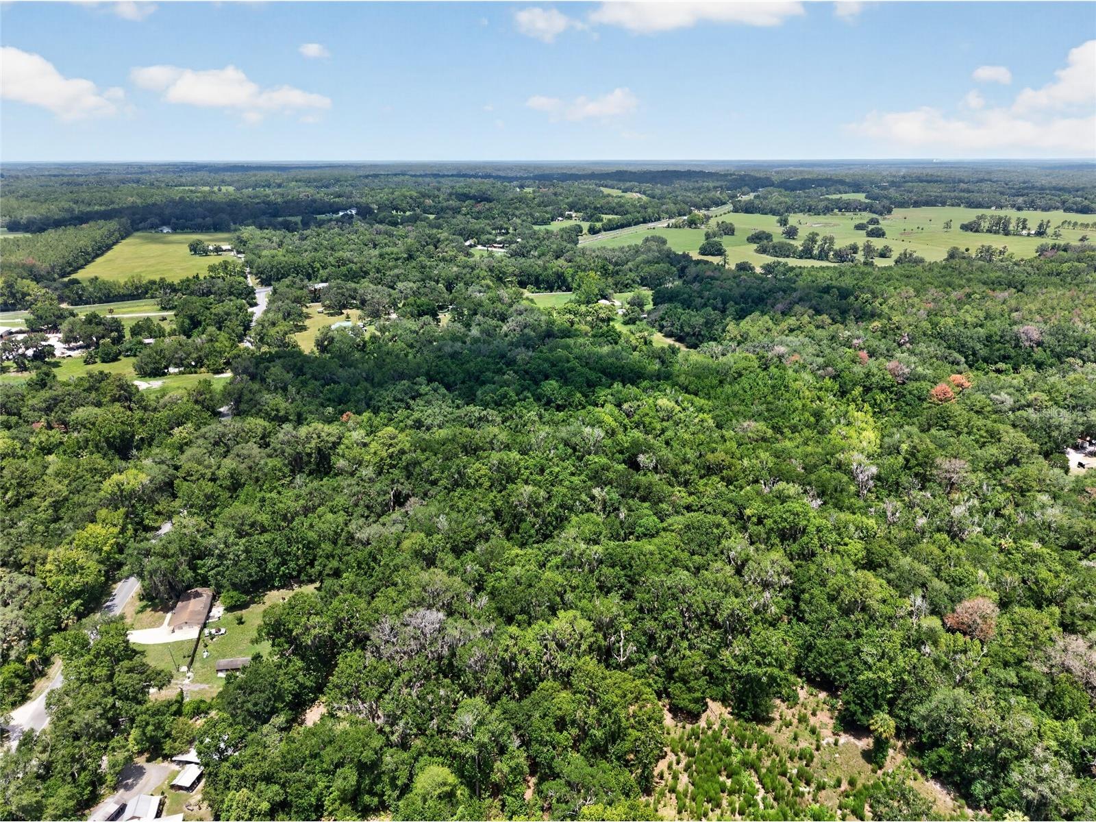 5725 NW 219th Street Road Micanopy FL 32667 GC541790 image2