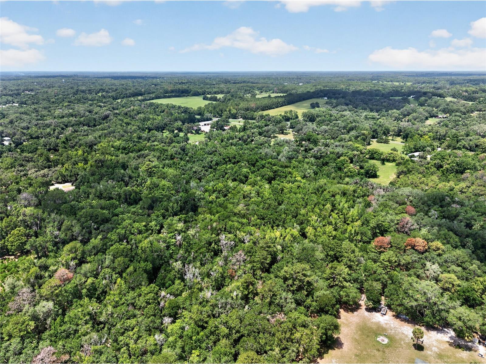 5725 NW 219th Street Road Micanopy FL 32667 GC541790 image4